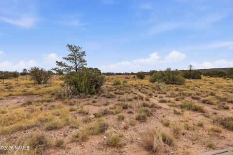 Photo of Williams, AZ 86046 (MLS # 206452)
