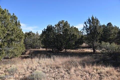 Featured picture for the property 194775