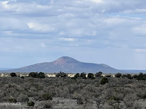 Photo of Williams, AZ 86046 (MLS # 200377)