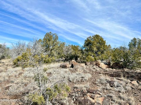 Photo of Williams, AZ 86046 (MLS # 203336)