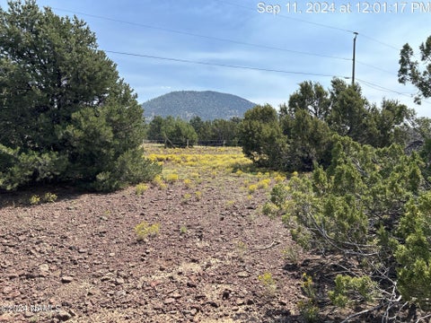 Featured picture for the property 198284