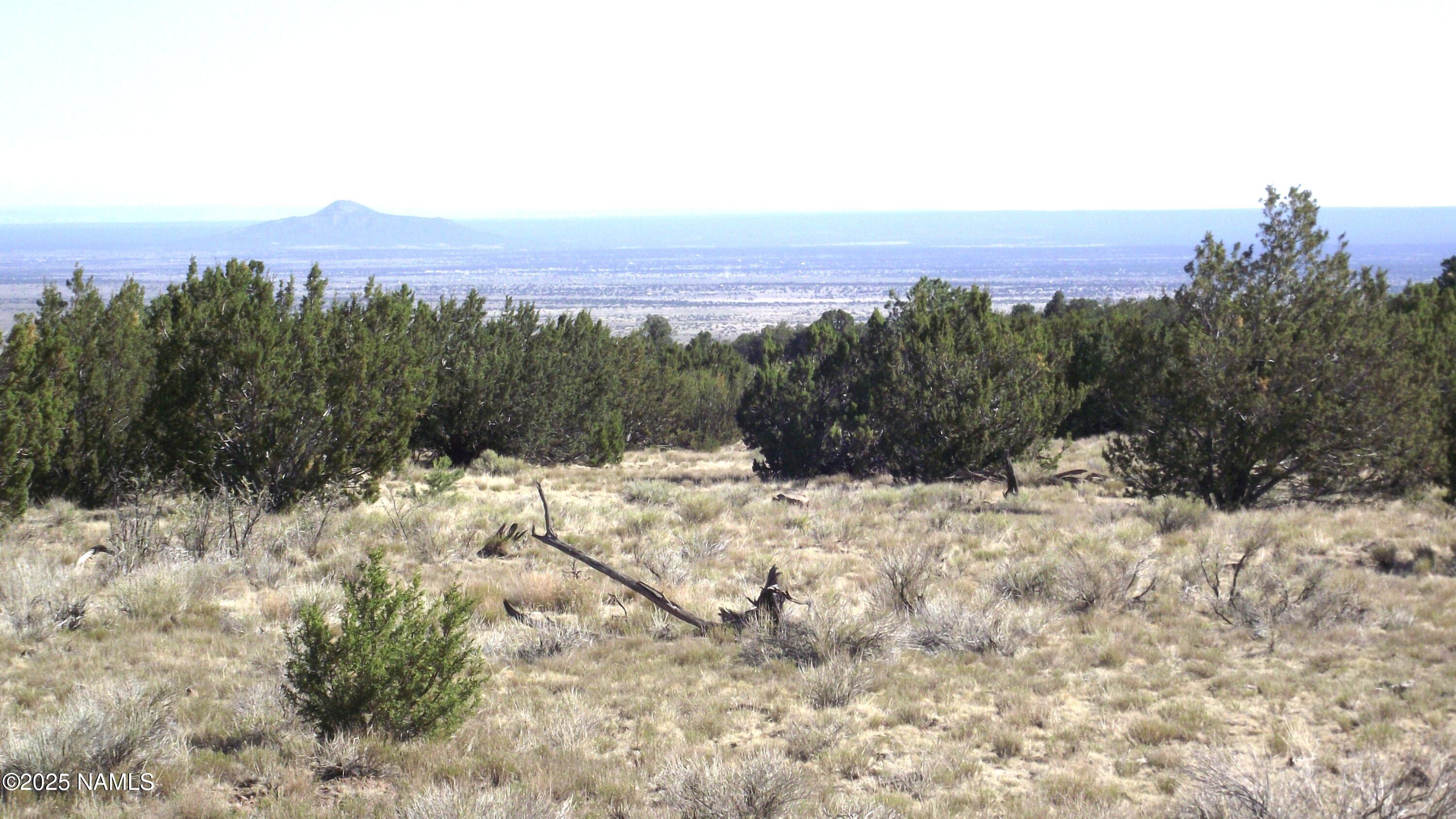 11962 S Mesa View Road