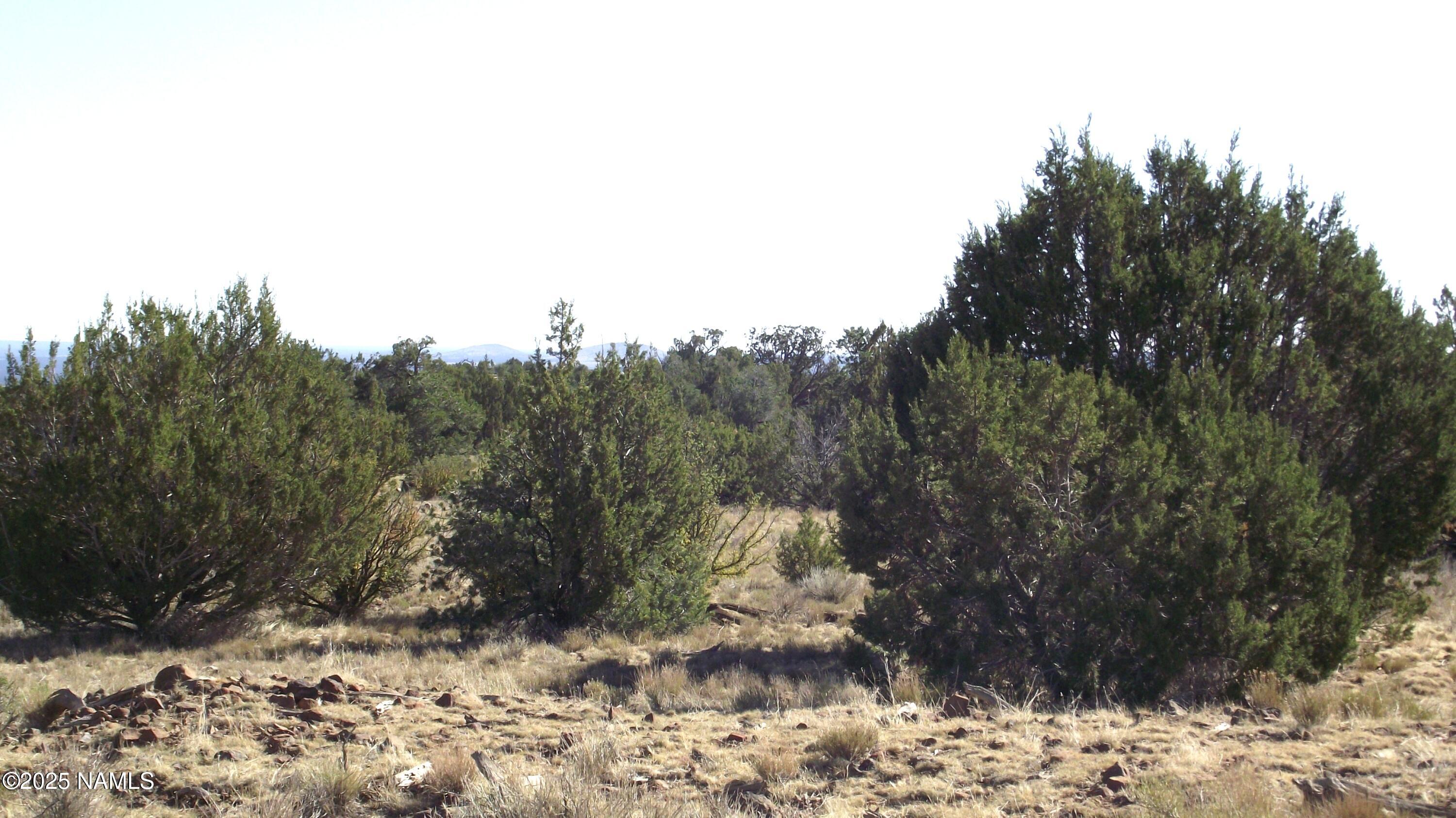 11962 S Mesa View Road