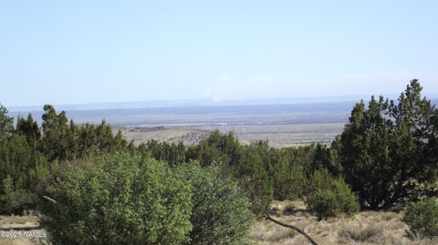 11962 S Mesa View Road Williams AZ 86046