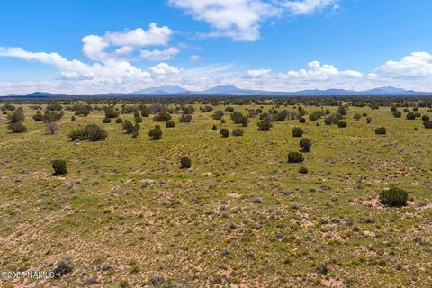 Photo of Williams, AZ 86046 (MLS # 202150)