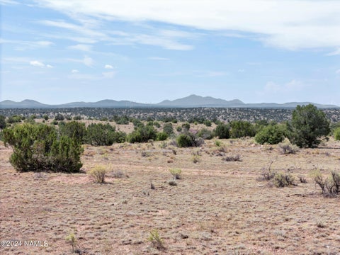 Photo of Williams, AZ 86046 (MLS # 204829)