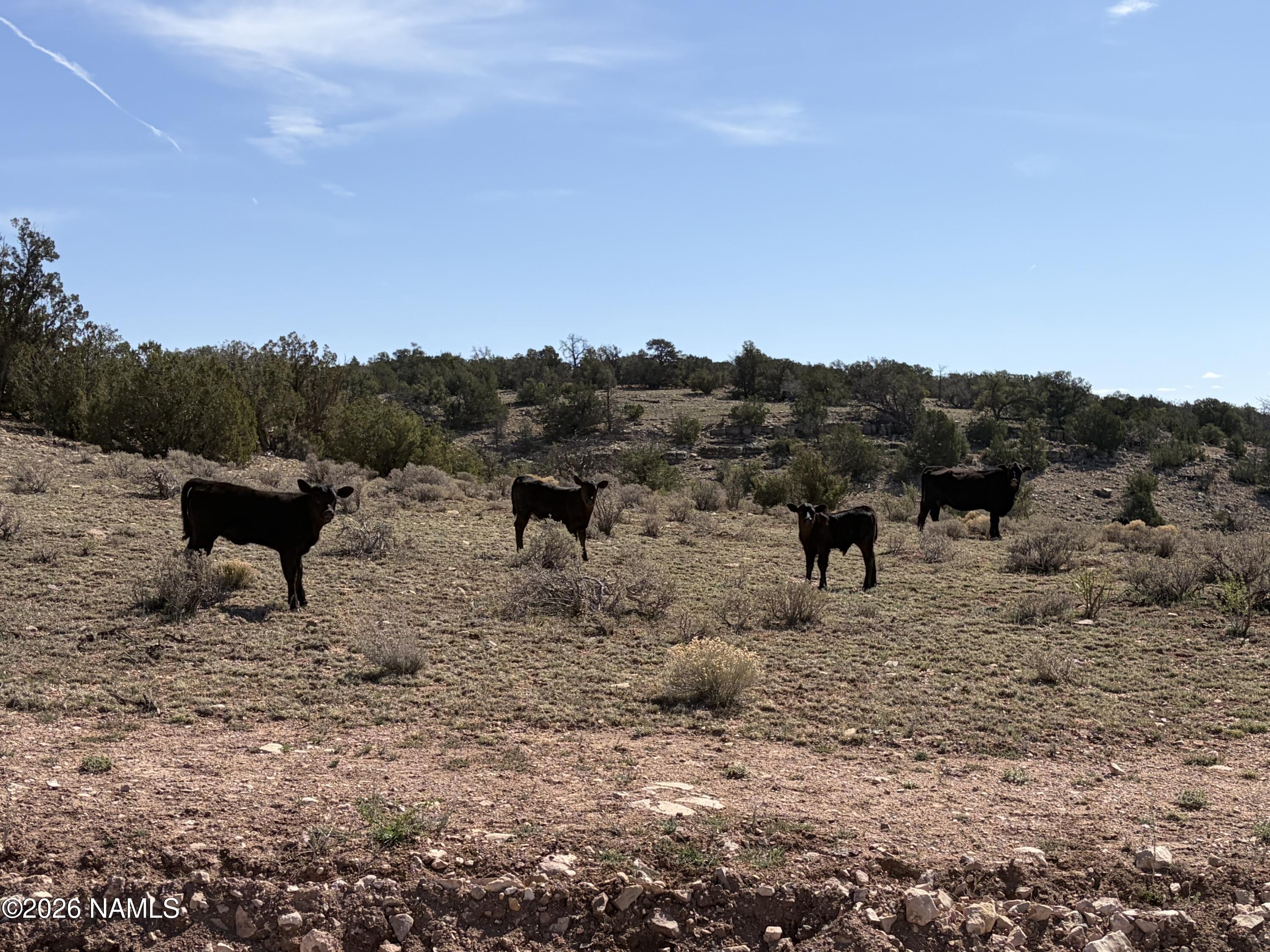 9457 W Bright Sky Trail