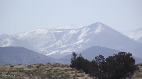 Photo of Williams, AZ 86046 (MLS # 201419)