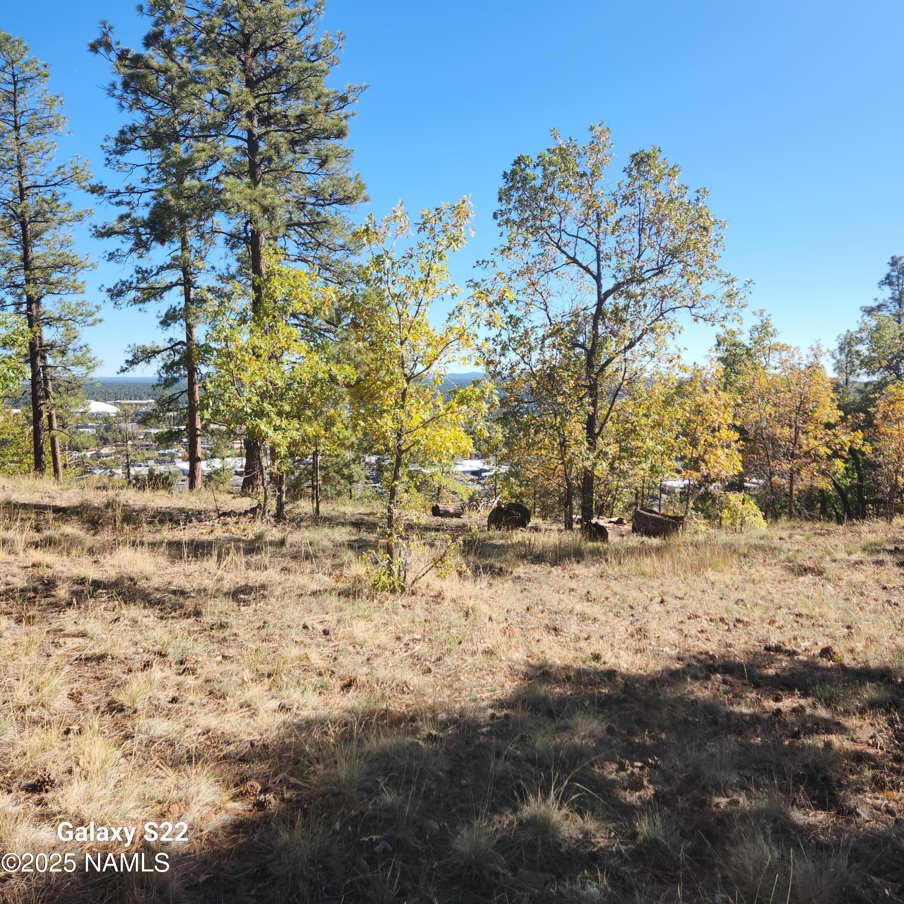 1564 W Lower Coconino Avenue