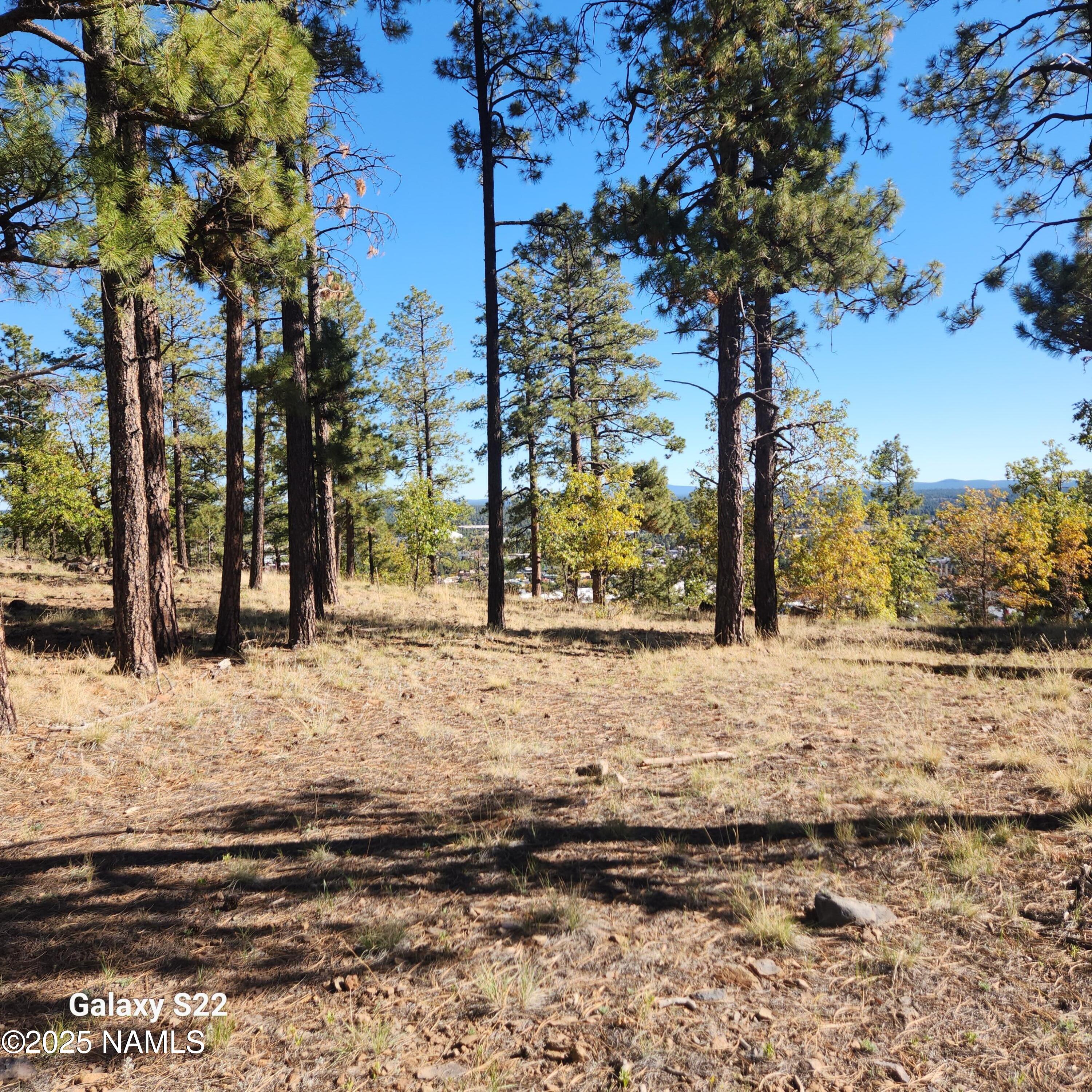 1564 W Lower Coconino Avenue