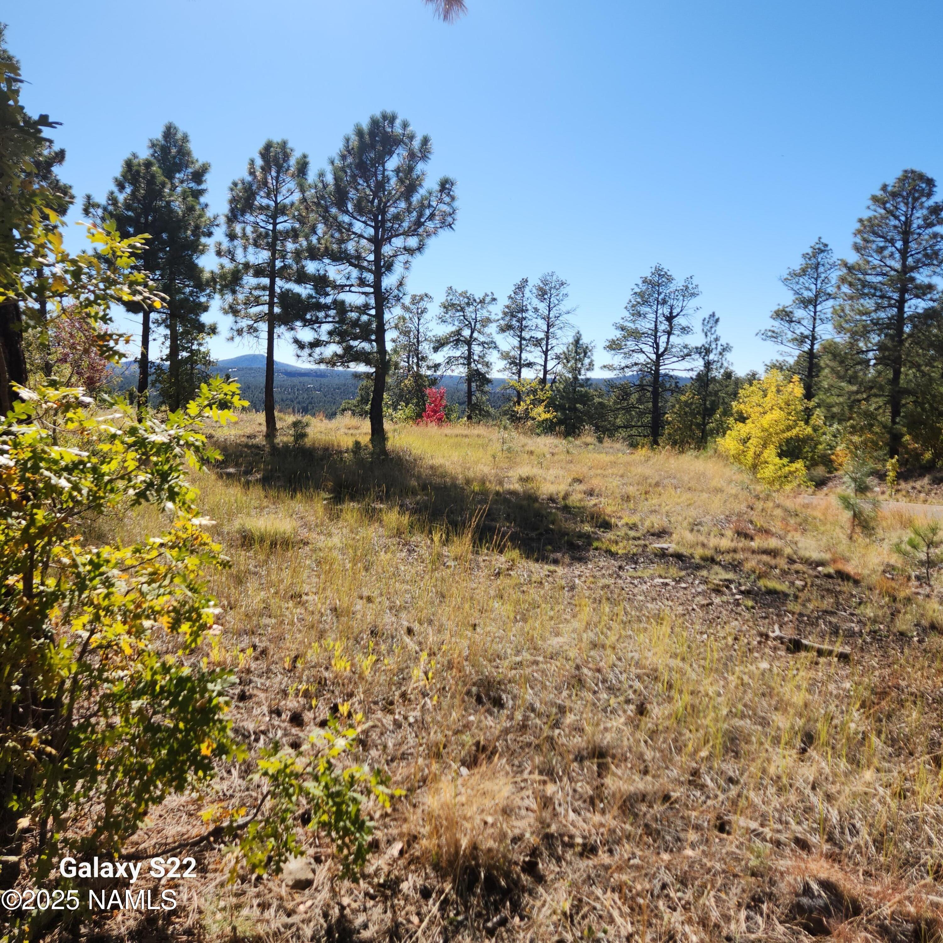1564 W Lower Coconino Avenue