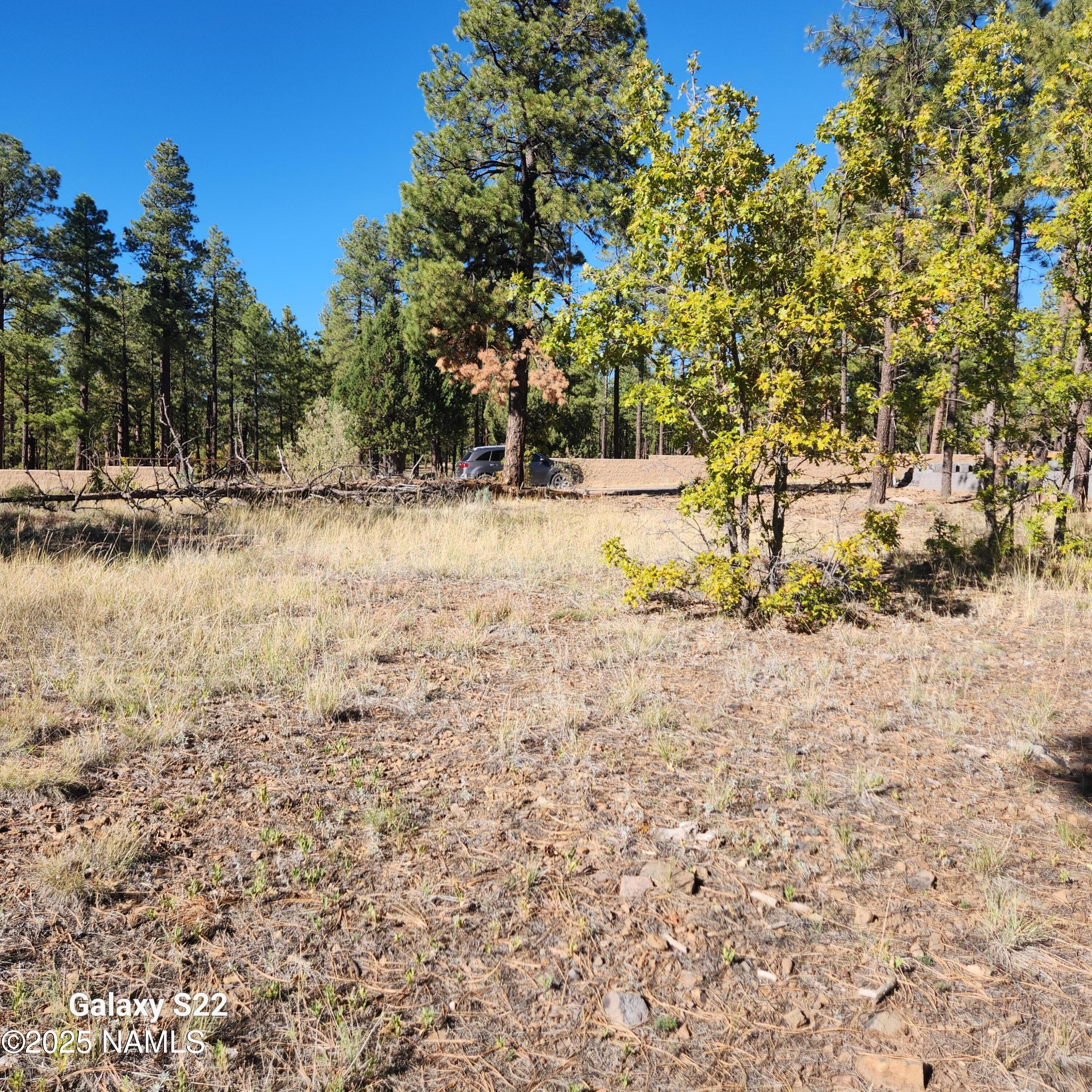 1564 W Lower Coconino Avenue