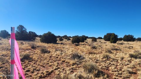 Photo of Williams, AZ 86046 (MLS # 199276)