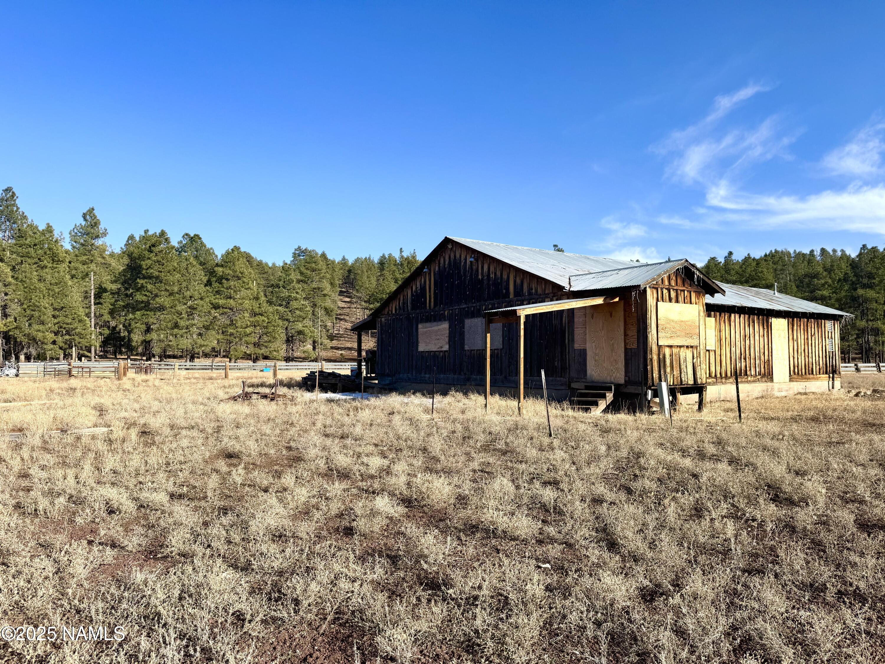 12405 Forest Service 772