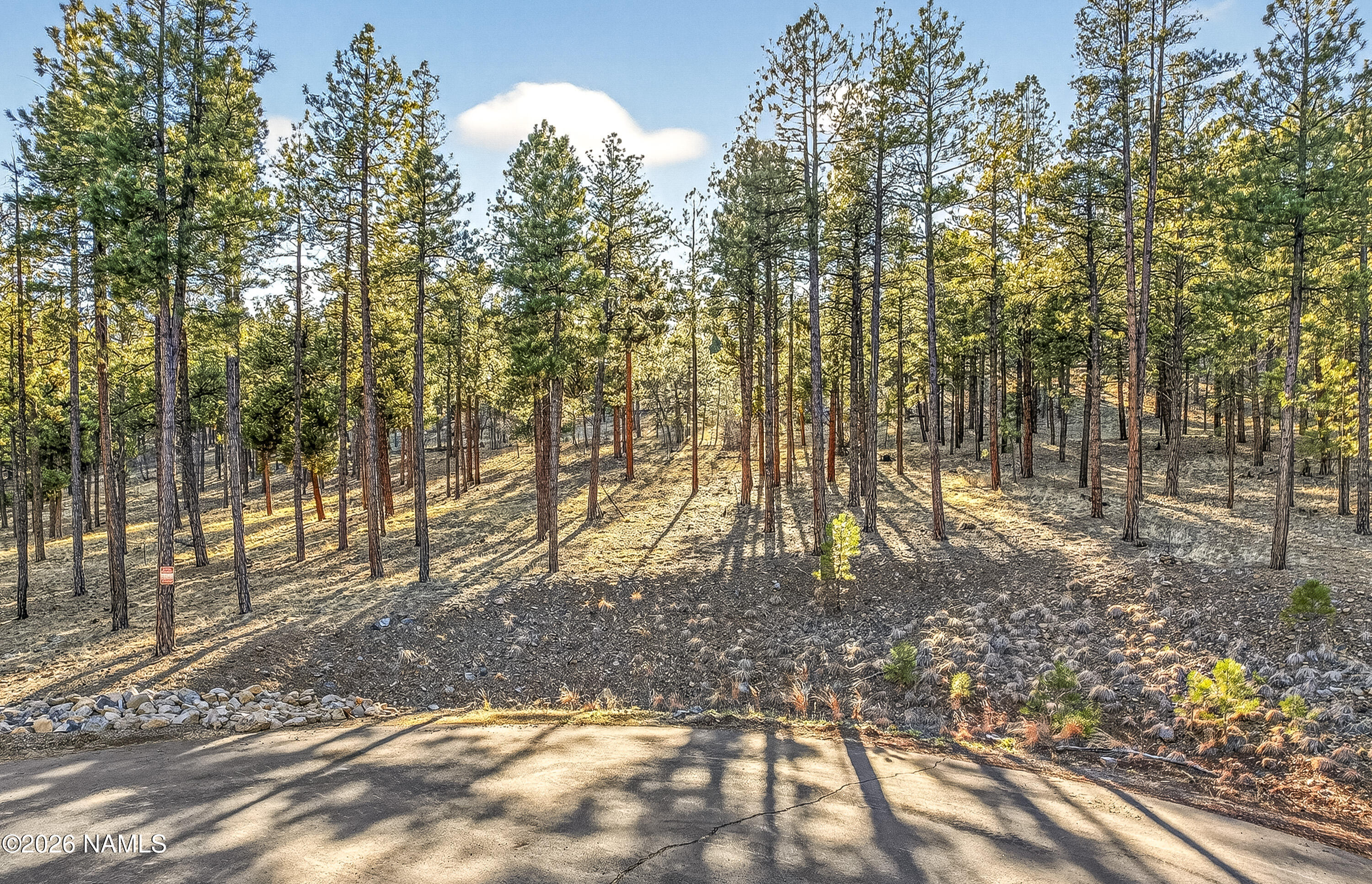 2009 N Ledgestone Lane