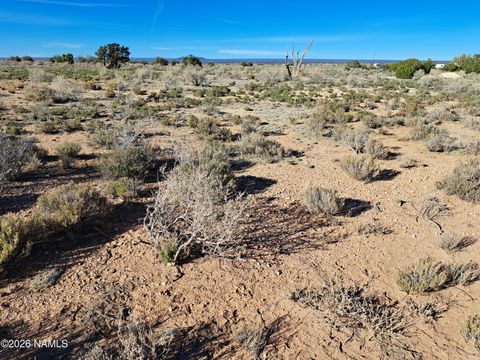 Photo of Williams, AZ 86046 (MLS # 203578)