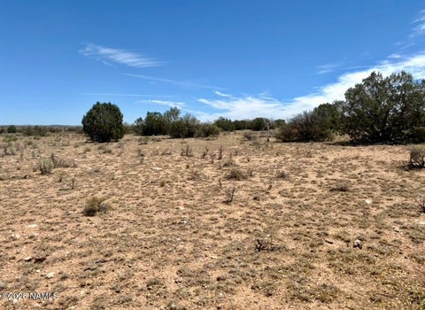 Photo of Williams, AZ 86046 (MLS # 205136)