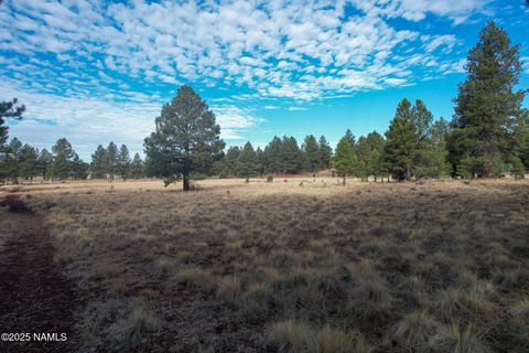 Photo of Parks, AZ 86018 (MLS # 202807)