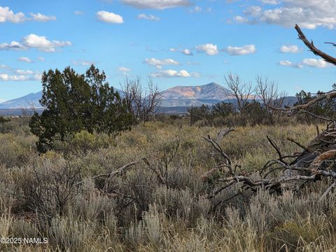 Photo of Williams, AZ 86046 (MLS # 202385)