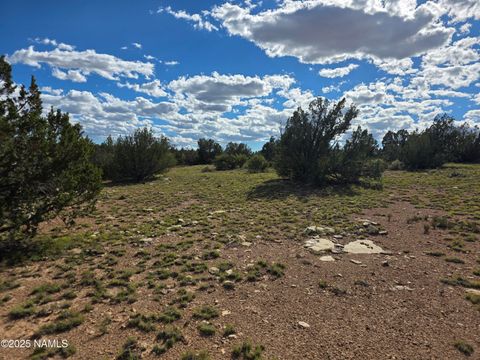 6154 Fire Sky Trl Lot A Williams AZ 86046