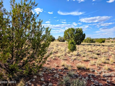 Photo of Williams, AZ 86046 (MLS # 204812)
