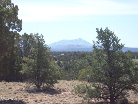 Photo of Williams, AZ 86046 (MLS # 204286)