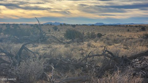 Photo of Williams, AZ 86046 (MLS # 199217)