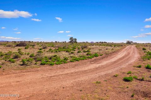 Photo of Williams, AZ 86046 (MLS # 203981)