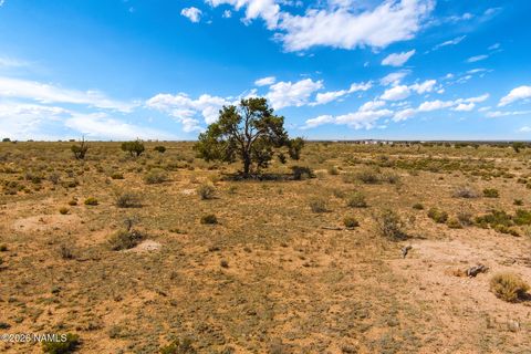 Photo of Williams, AZ 86046 (MLS # 203981)