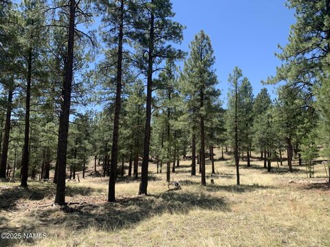 Photo of Flagstaff, AZ 86005 (MLS # 200831)