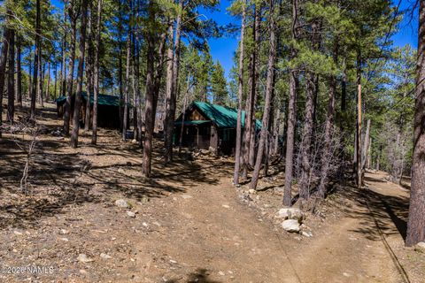 Photo of Mormon Lake, AZ 86038 (MLS # 204288)