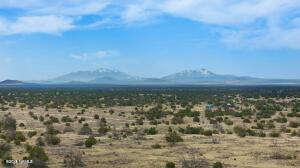 5133 N Alta Villa Road D