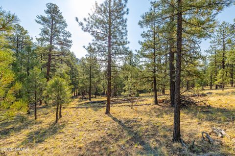 Photo of Flagstaff, AZ 86001 (MLS # 201579)