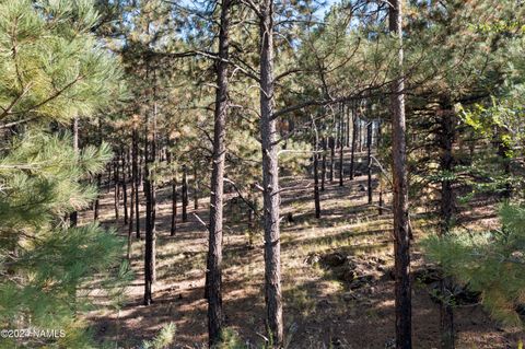 Photo of Flagstaff, AZ 86001 (MLS # 198461)