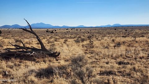 Photo of Williams, AZ 86046 (MLS # 199103)