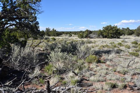 Photo of Williams, AZ 86046 (MLS # 201187)