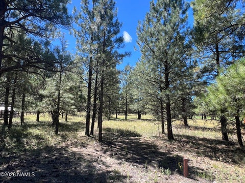 Photo of Williams, AZ 86046 (MLS # 205935)