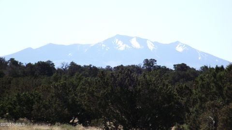 Photo of Williams, AZ 86046 (MLS # 200092)