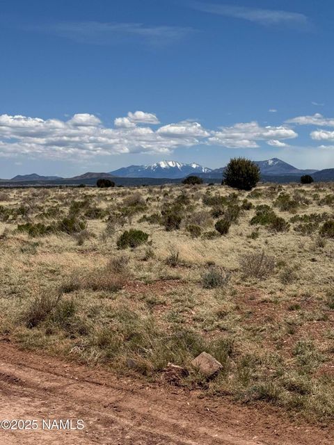 Photo of Williams, AZ 86046 (MLS # 202697)
