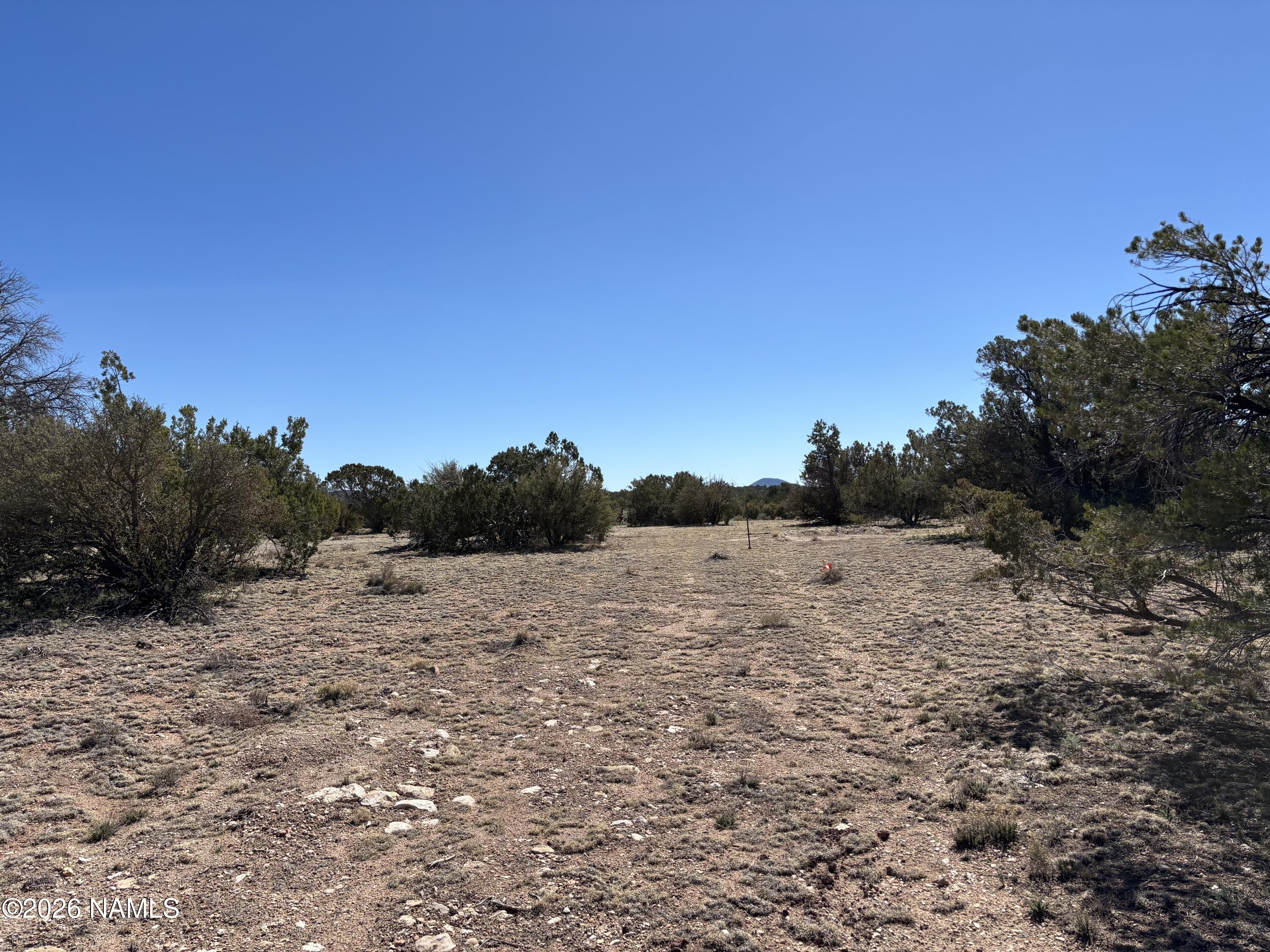 3156 Jackrabbit - 14 Ac Road