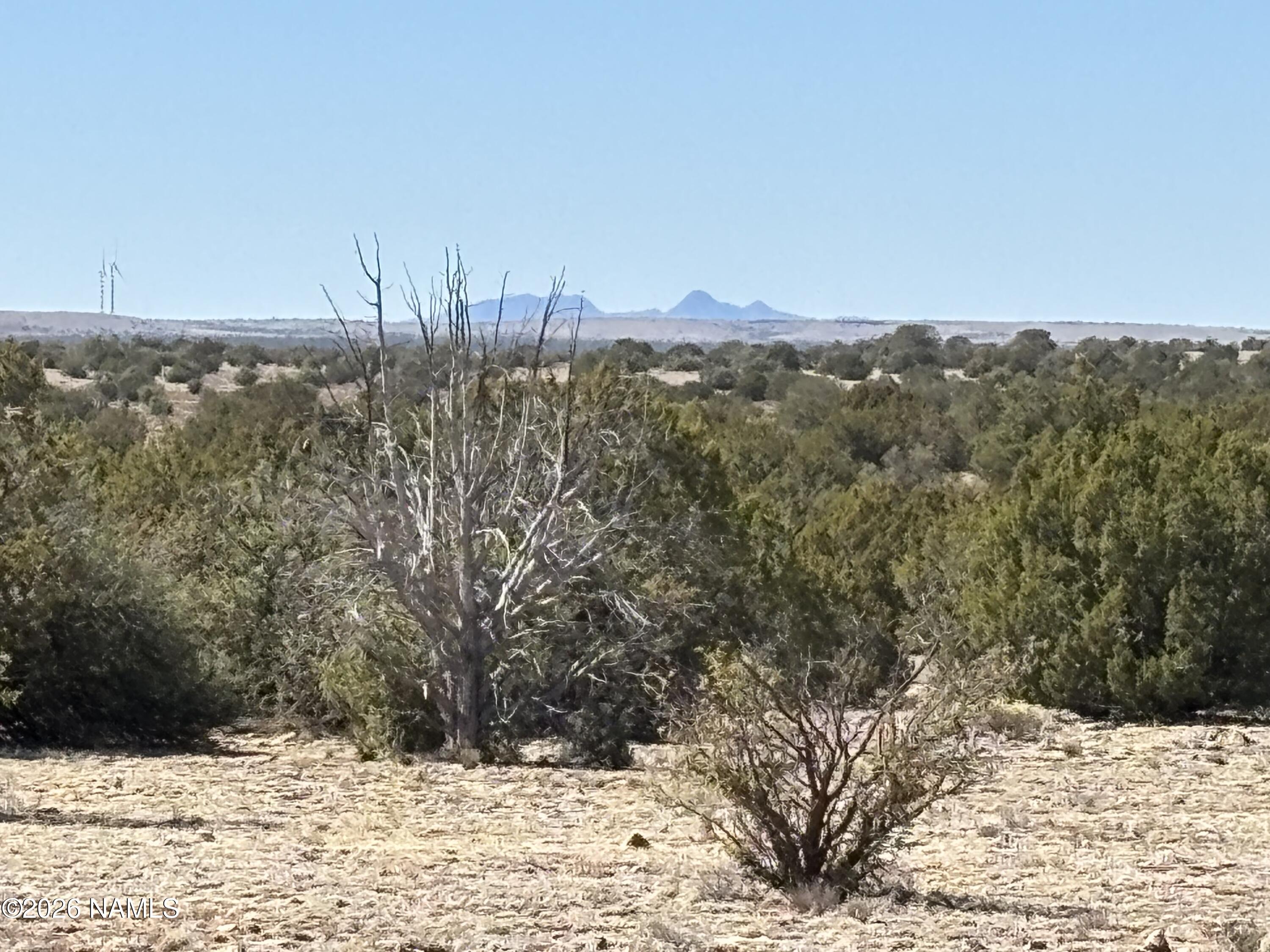 3156 Jackrabbit - 14 Ac Road