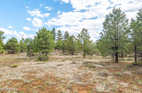 Photo of Parks, AZ 86018 (MLS # 203219)