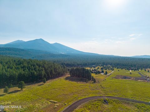 9217 Ranch At The Peaks Way Flagstaff AZ 86001