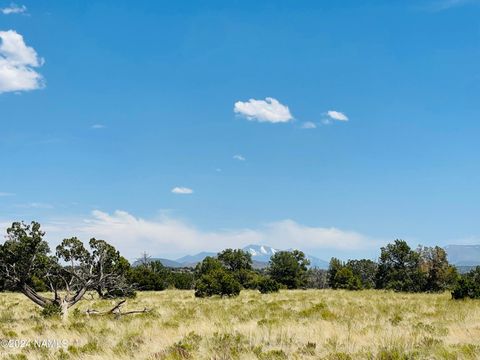 6379 Water Tank Circle Williams AZ 86046