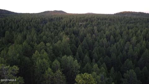 Photo of Williams, AZ 86046 (MLS # 201779)