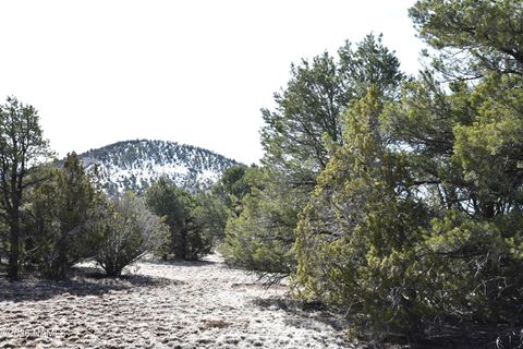 Photo of Williams, AZ 86046 (MLS # 203438)