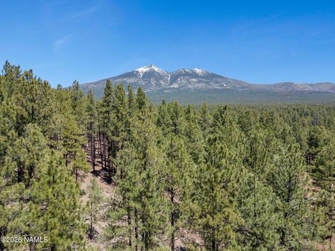 5216 Hidden Hollow Road Flagstaff AZ 86001