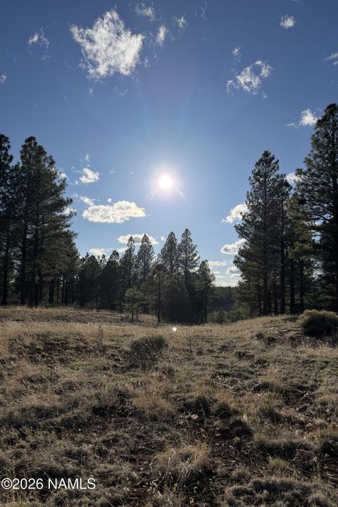 4870 E Gandalf Lane Flagstaff AZ 86004