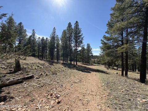 Photo of Flagstaff, AZ 86004 (MLS # 203885)