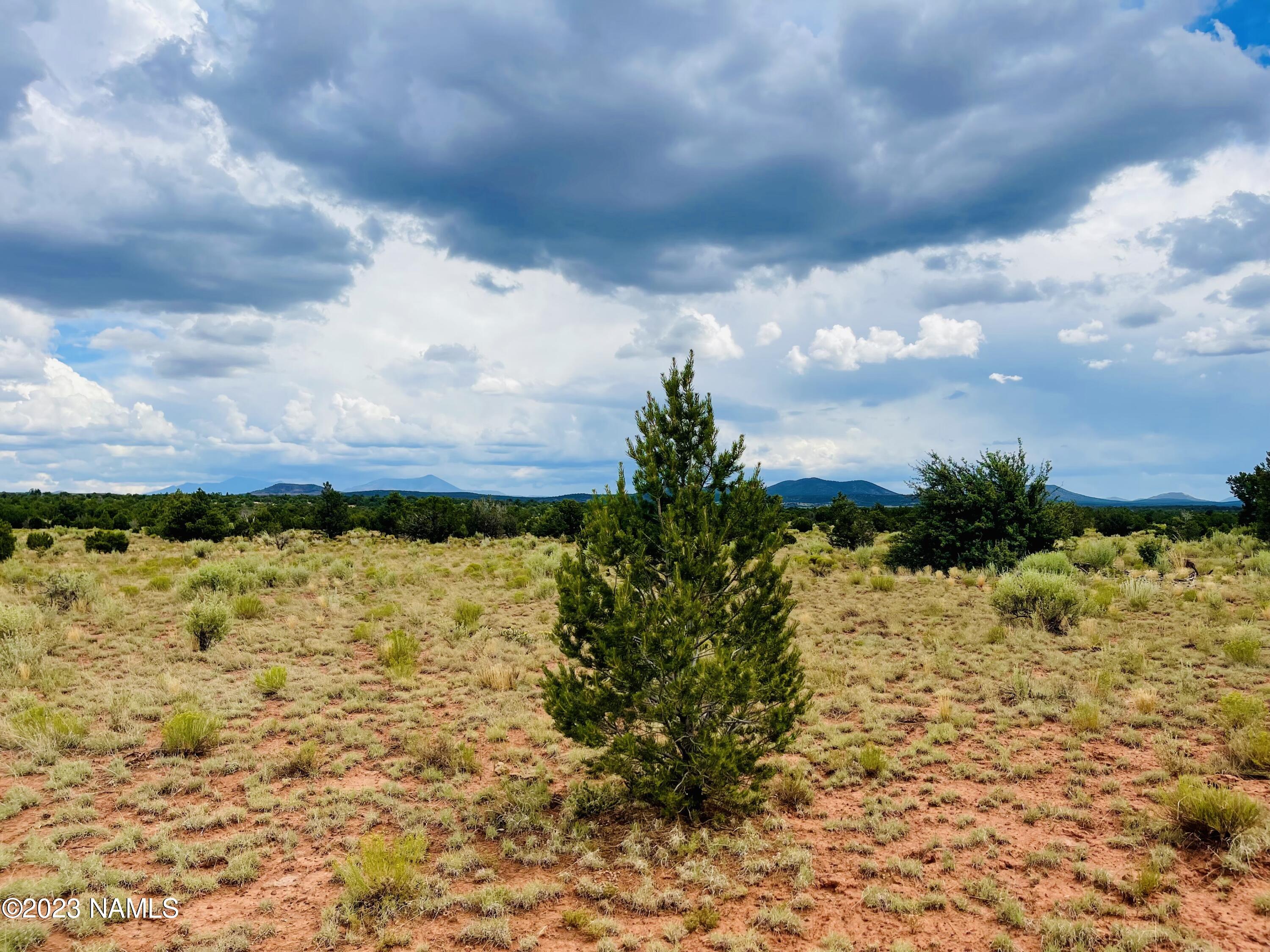 Xxxx Lasso Loop Lot C